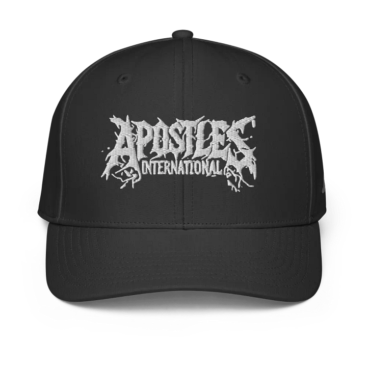 Apostles International Tree Branches Logo product image (2)
