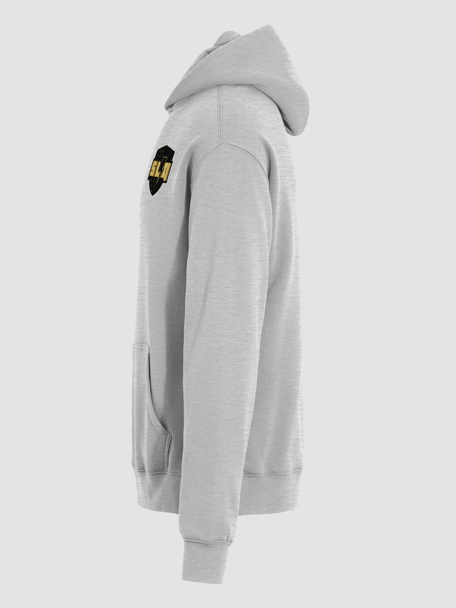 Hoodie SLQ gris Homme product image (6)