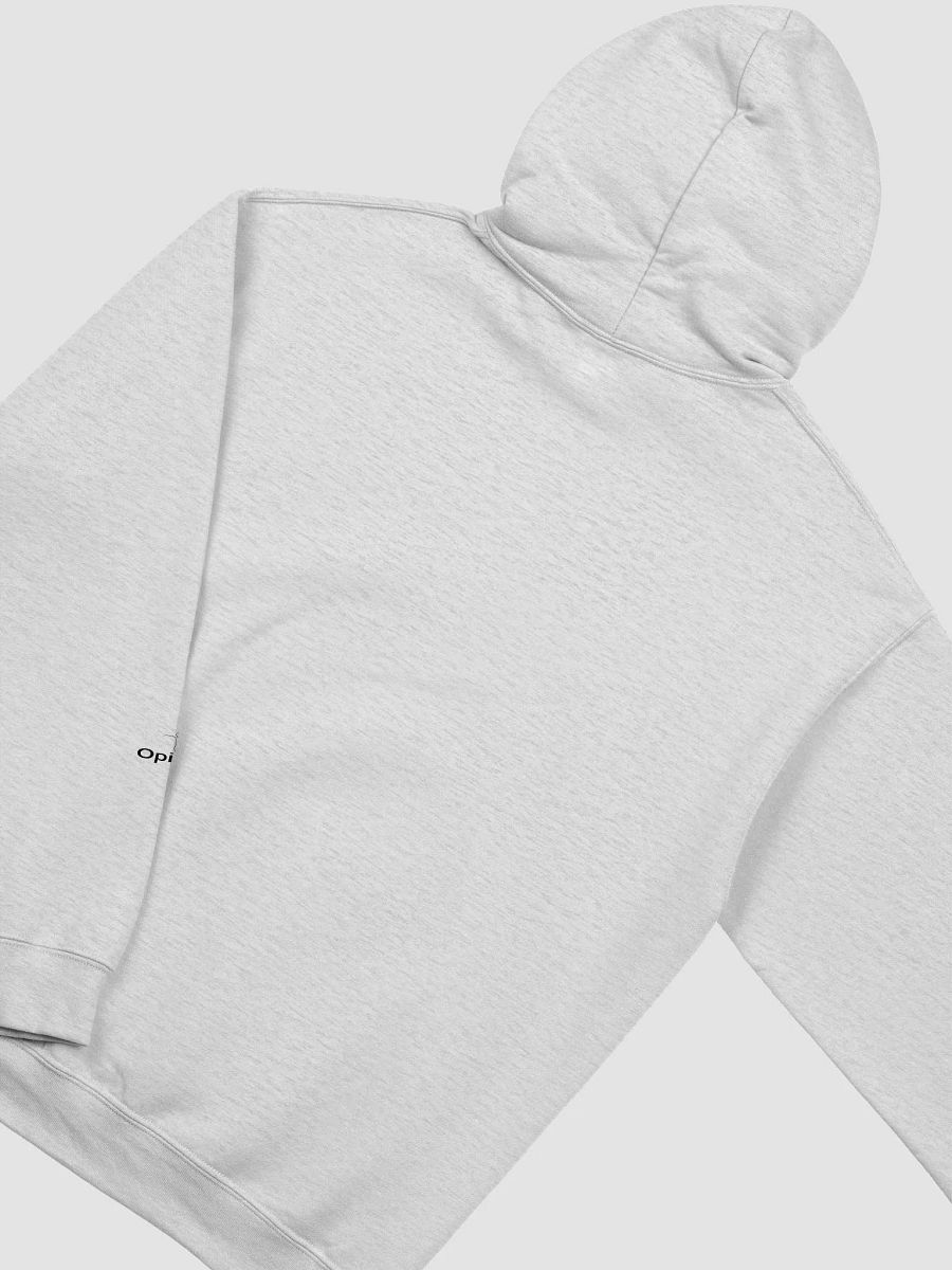 Conspiracy Leads To Spirituality - Gildan Classic Hoodie product image (4)