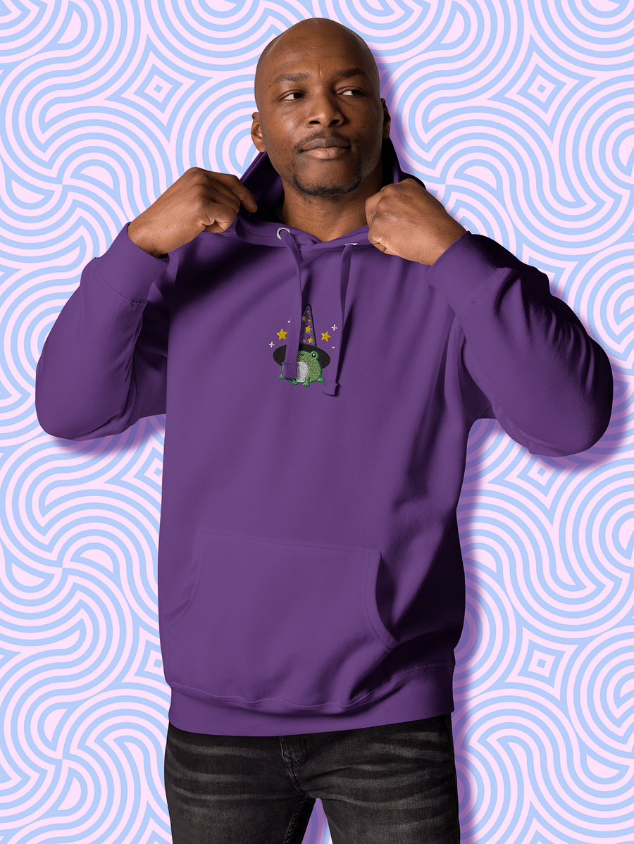 Enchanted Frog Wizard Embroidered Unisex Hoodie product image (4)