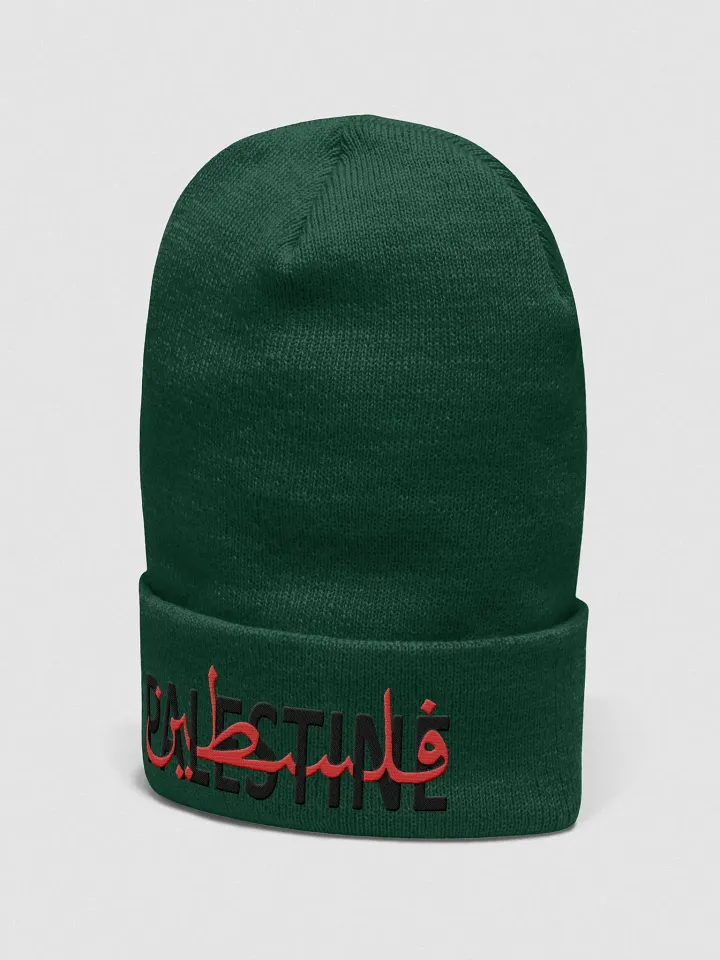 Palestine Beanie product image (2)