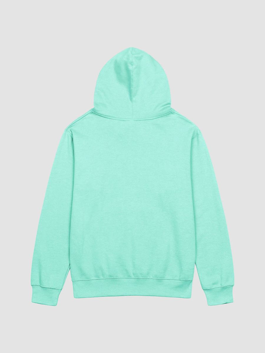 Fortune Favors the Bold Hoodie product image (2)
