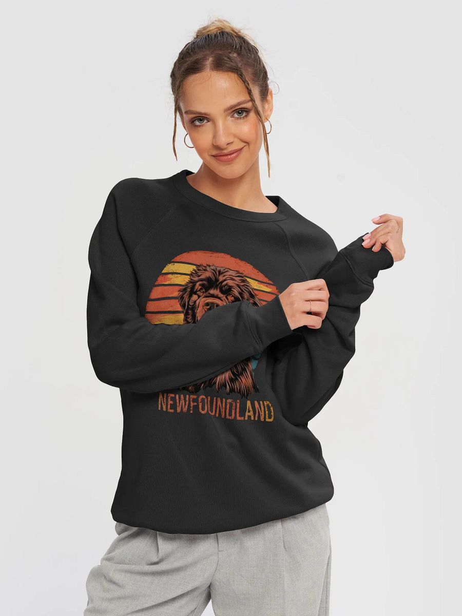 Vintage Newfoundland Dog Sweatshirt for Pet Lovers - Cozy and Soft product image (2)