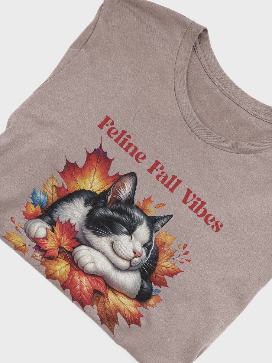 Feline Fall Vibes T-Shirt product image (47)