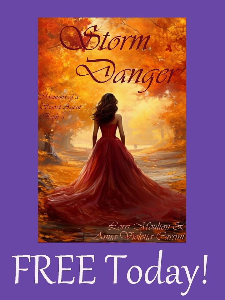 Storm Danger EBOOK - FREE TODAY! product image (1)