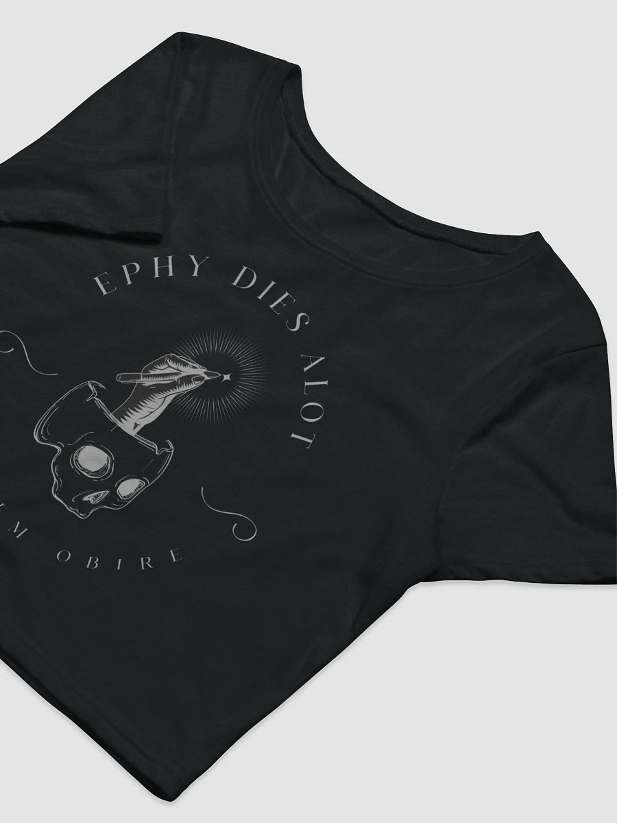The Heritage Collection Grayscale Crop Tee product image (5)