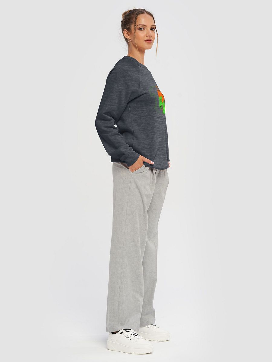 Fiery Dragon Raglan Sweatshirt product image (6)