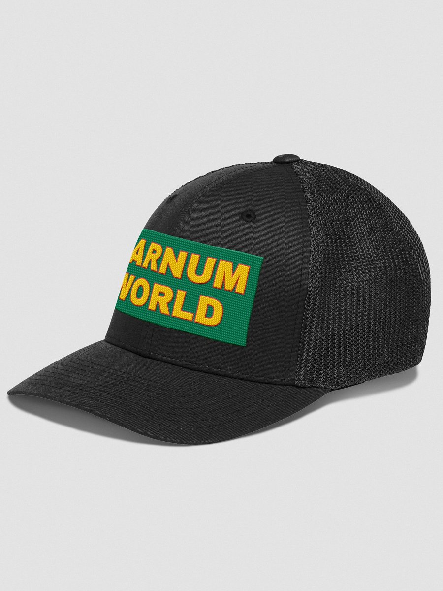 Barnum World FLEX Flexfit Mash Back Trucker Hat product image (2)