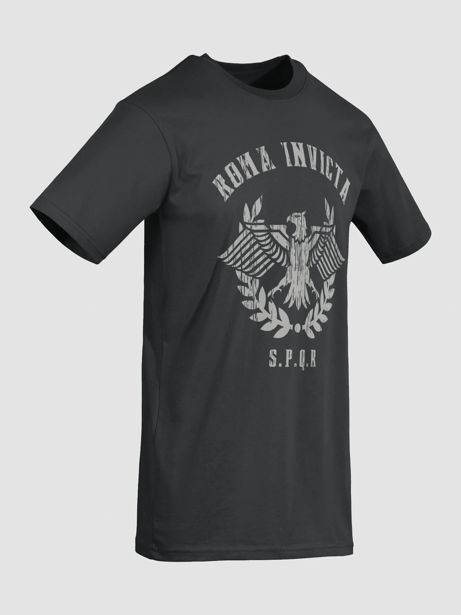 Roma Invicta Gym Gear Heavy Tee product image (22)