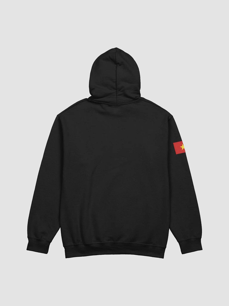 Vietnam hoodies men sweatshirt with Vietnamese flag product image (14)