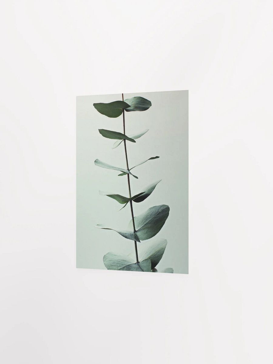 Eucalyptus Whispers Matte Poster product image (26)