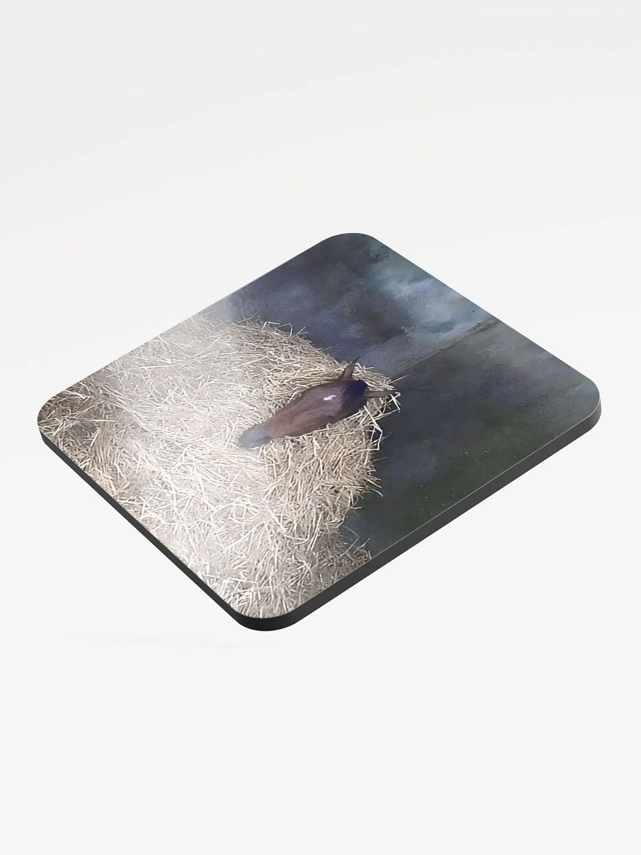 HERC Horse Coaster product image (3)