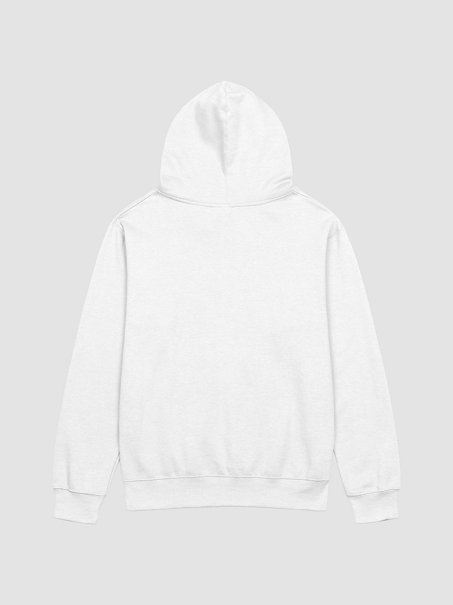detach. hoodie product image (2)