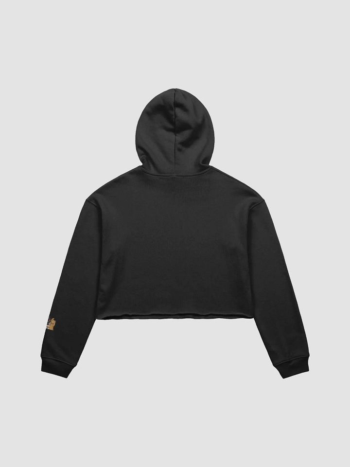 Bento x Curry Cropped Hoodie product image (7)