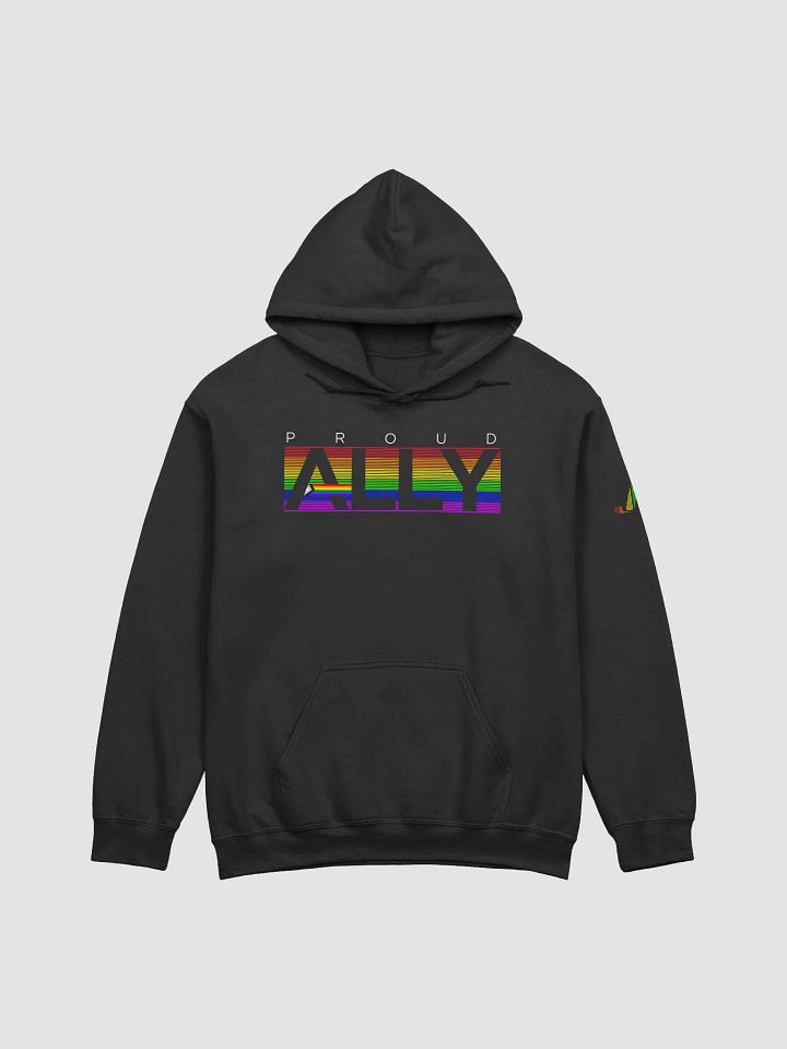PROUD ALLY Hoodie product image (6)