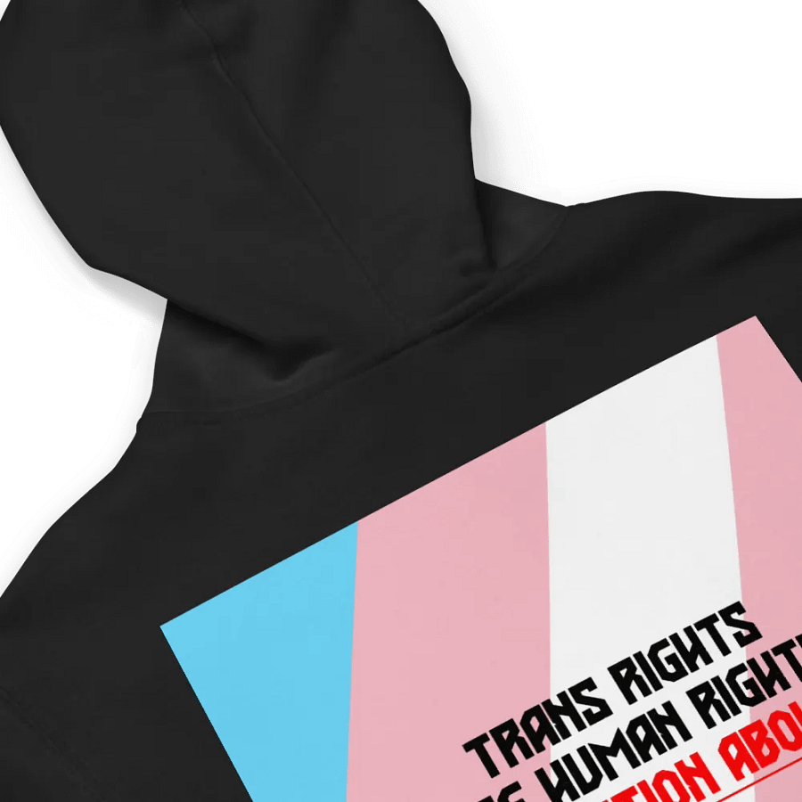 Trans Rights Embroidered Hoodie product image (5)