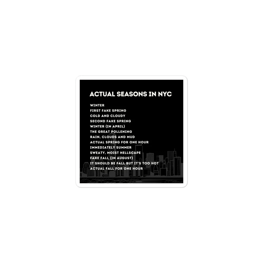 Actual Seasons in NYC Magnet product image (1)