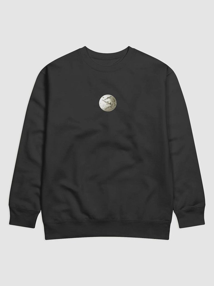 'CRATER' sweatshirt product image (3)