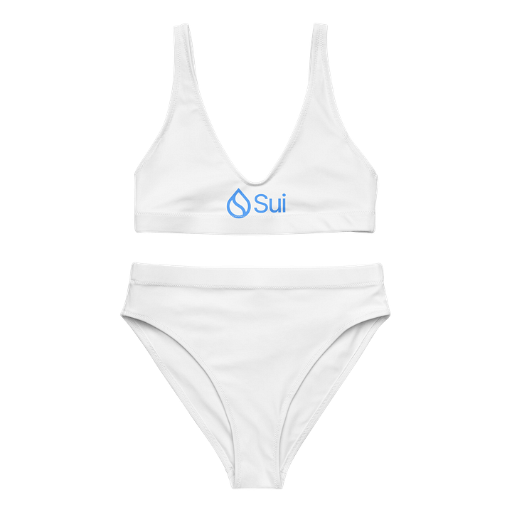 High Waisted Bikini/Sui product image (1)