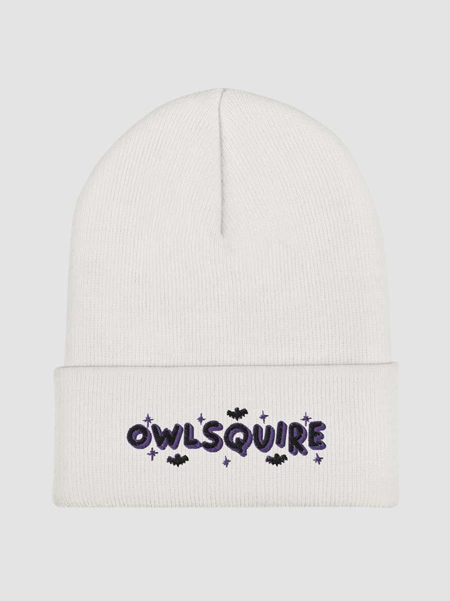 BATS Beanie (2022) product image (2)