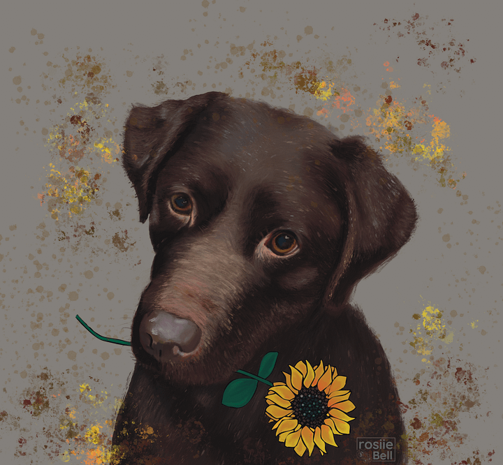 Chocolate Labrador product image (1)