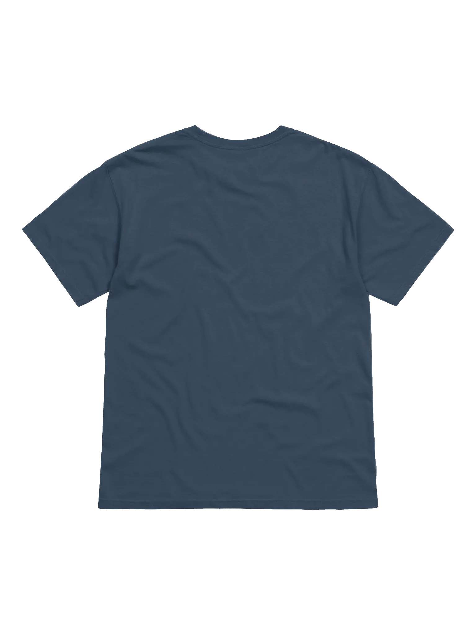 Earth Bloom Heavyweight Tee product image (56)