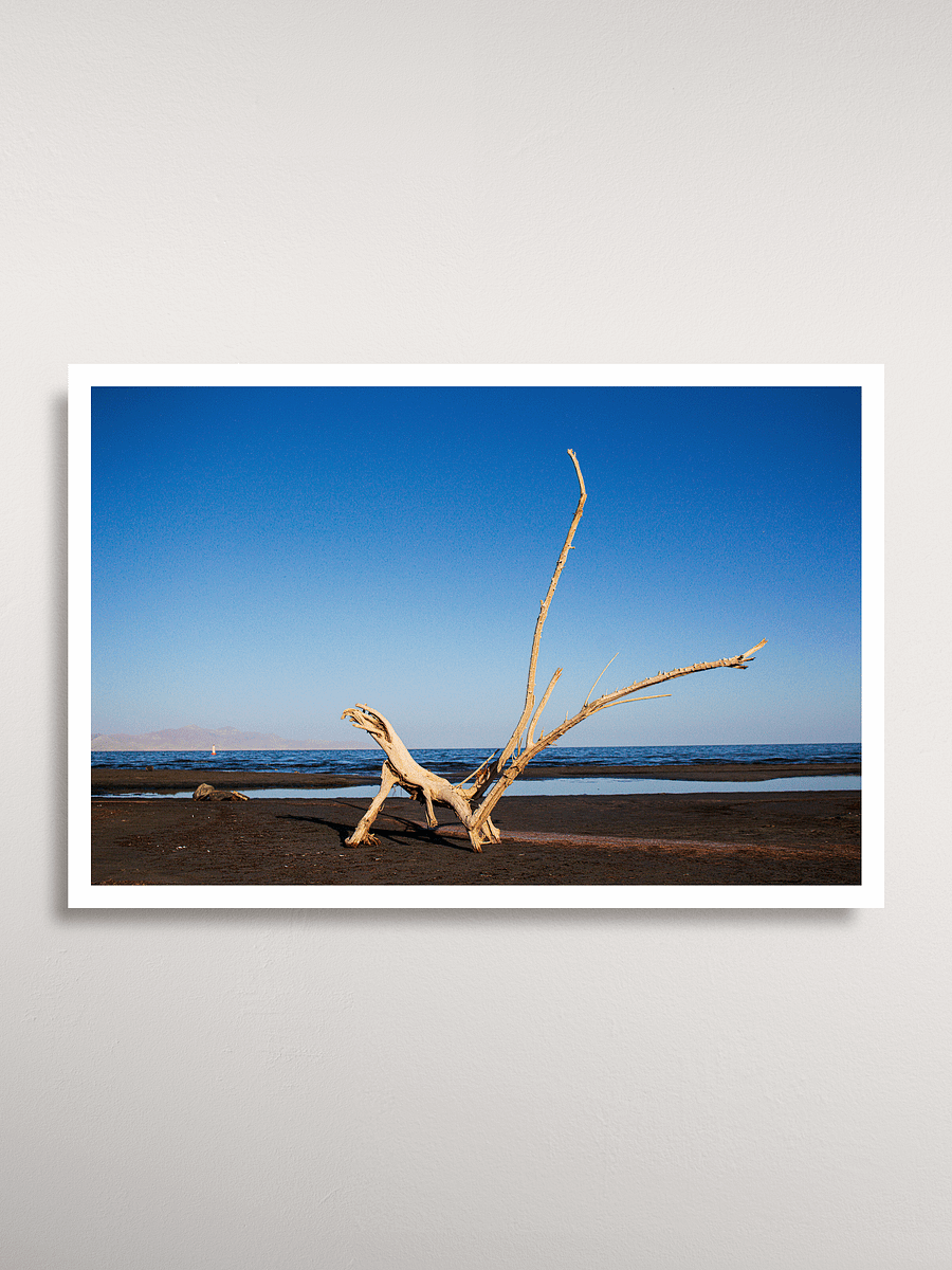 Great Salt Lake State Park Poster product image (1)
