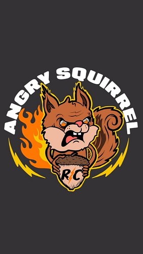 Zac @angrysquirrelrc got in touch with me about doing a logo for his business. When I saw the name, I knew what needed to be ...
