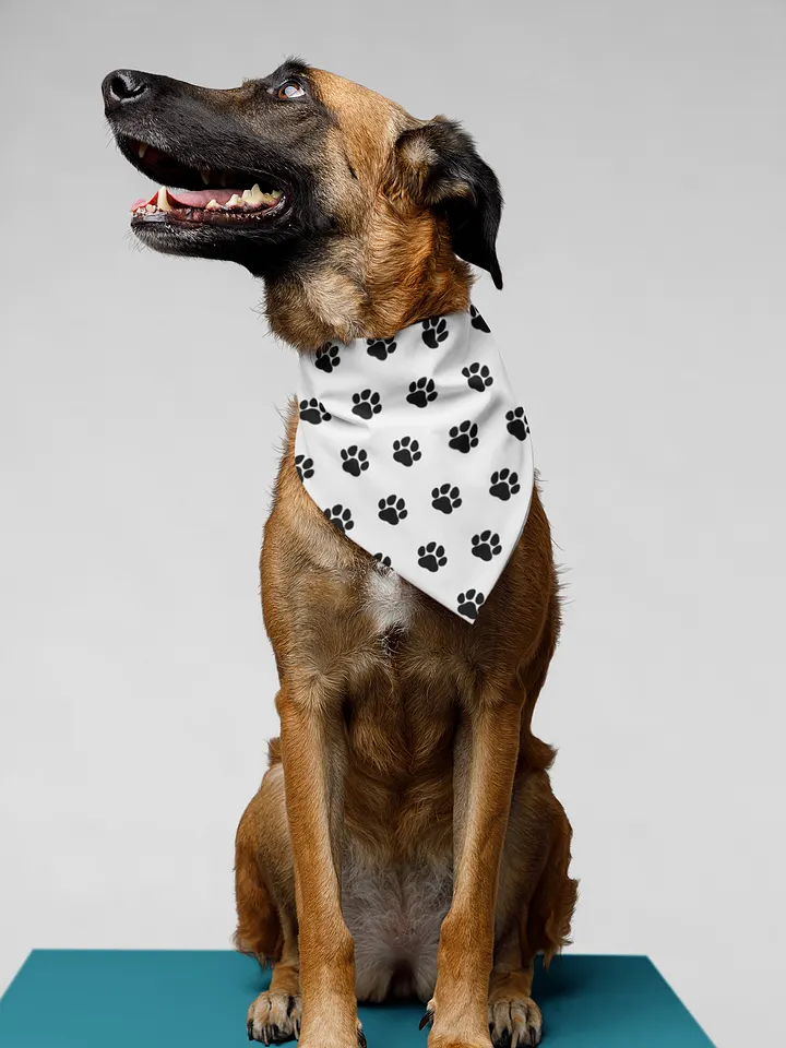 Jack's Paw Approved Bandana product image (1)