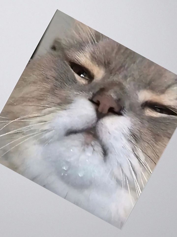 Kiss Cut Stickers: Meme Cats product image (2)