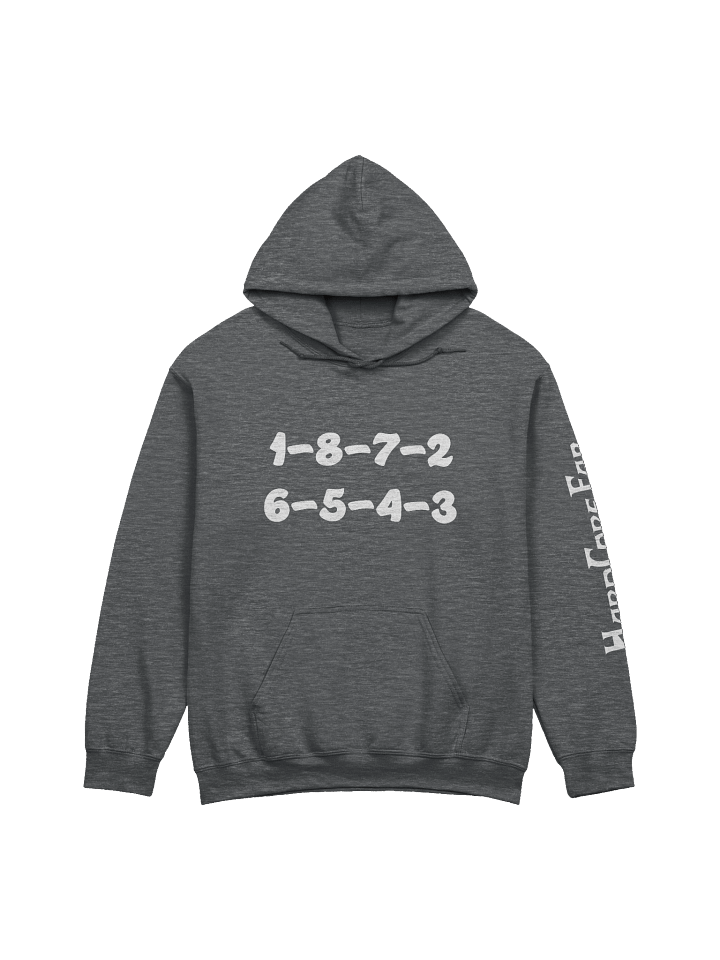 LS Firing Order Hoodie product image (1)