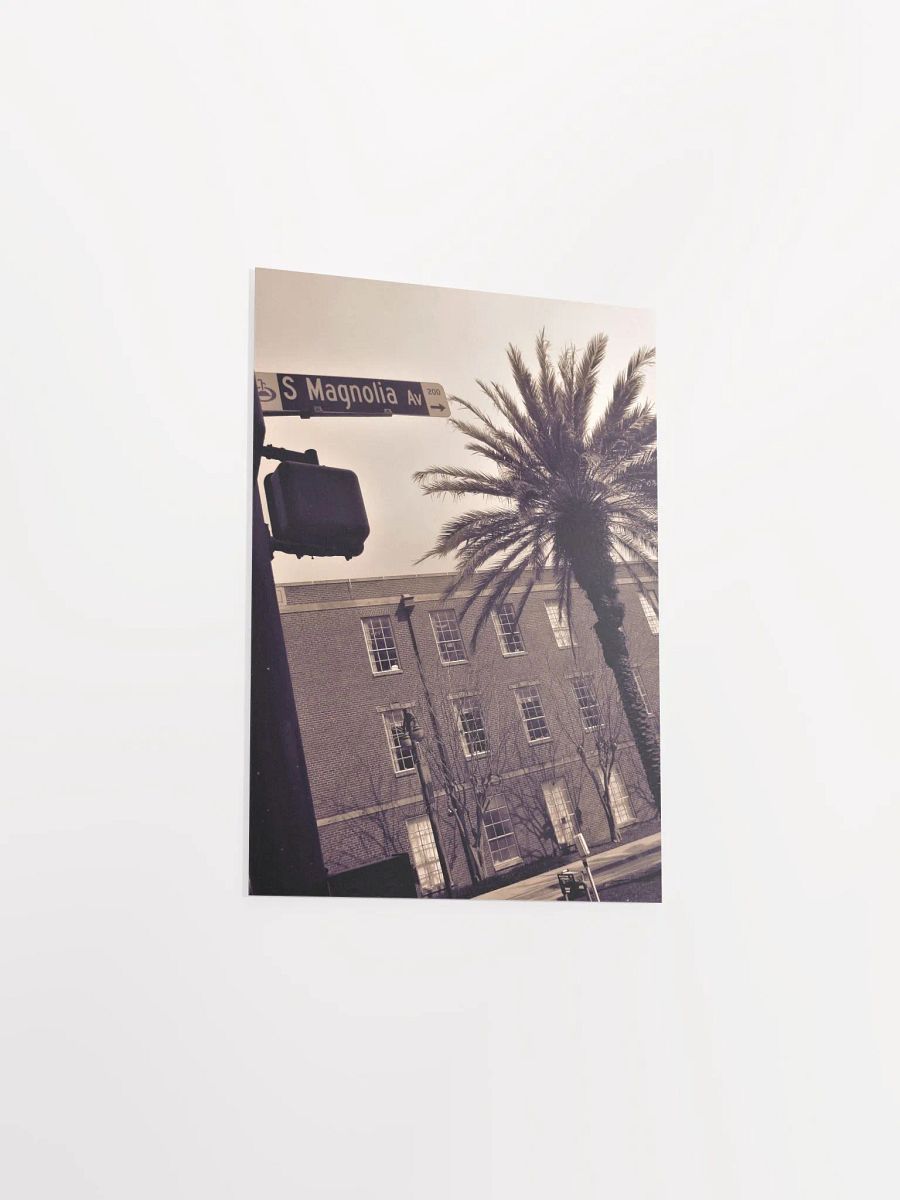 Magnolia Orlando product image (32)
