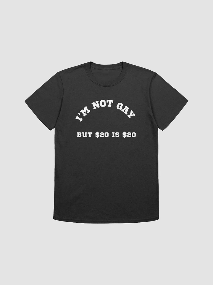 I'm Not Gay But $20 is $20 Unisex T-Shirt V9 product image (1)
