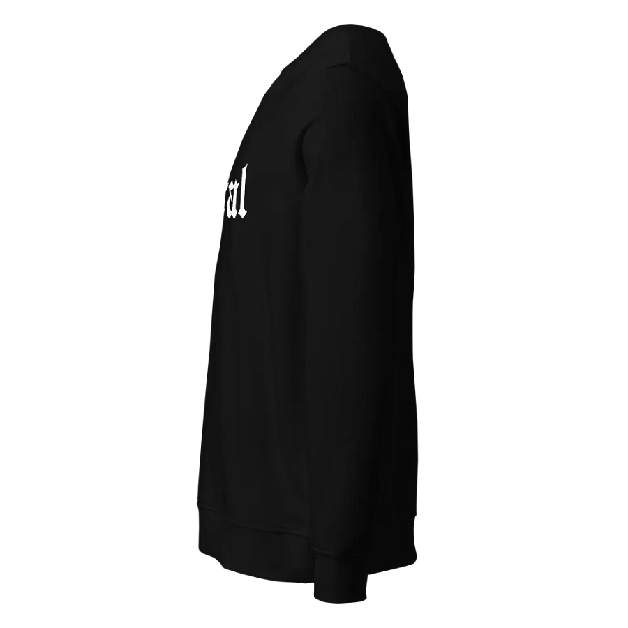 Feral Organic Comfort Sweatshirt product image (3)