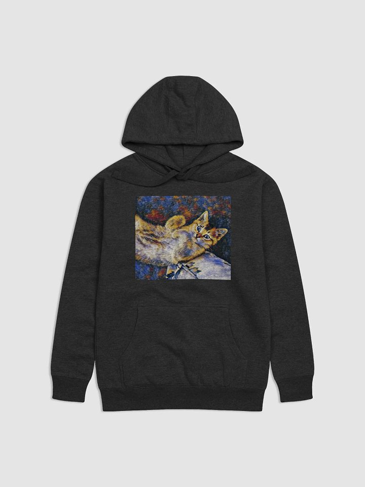 Toby's Signature Hoodie product image (4)