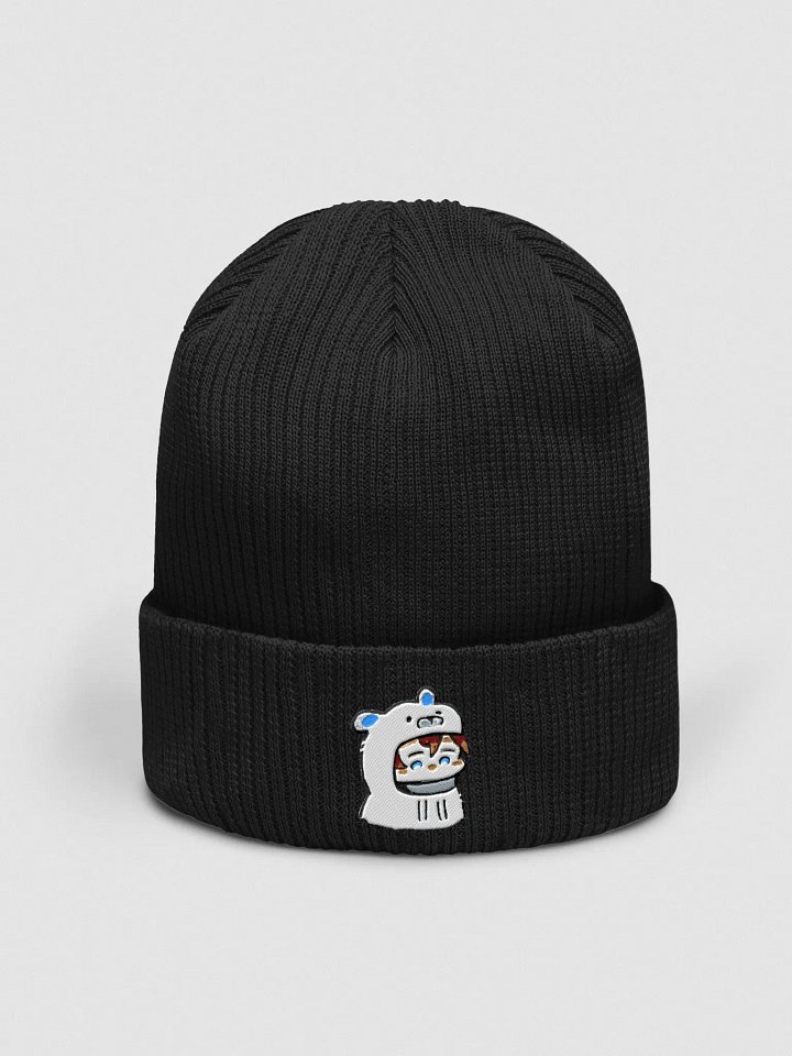 Freshi Logo Beanie product image (1)