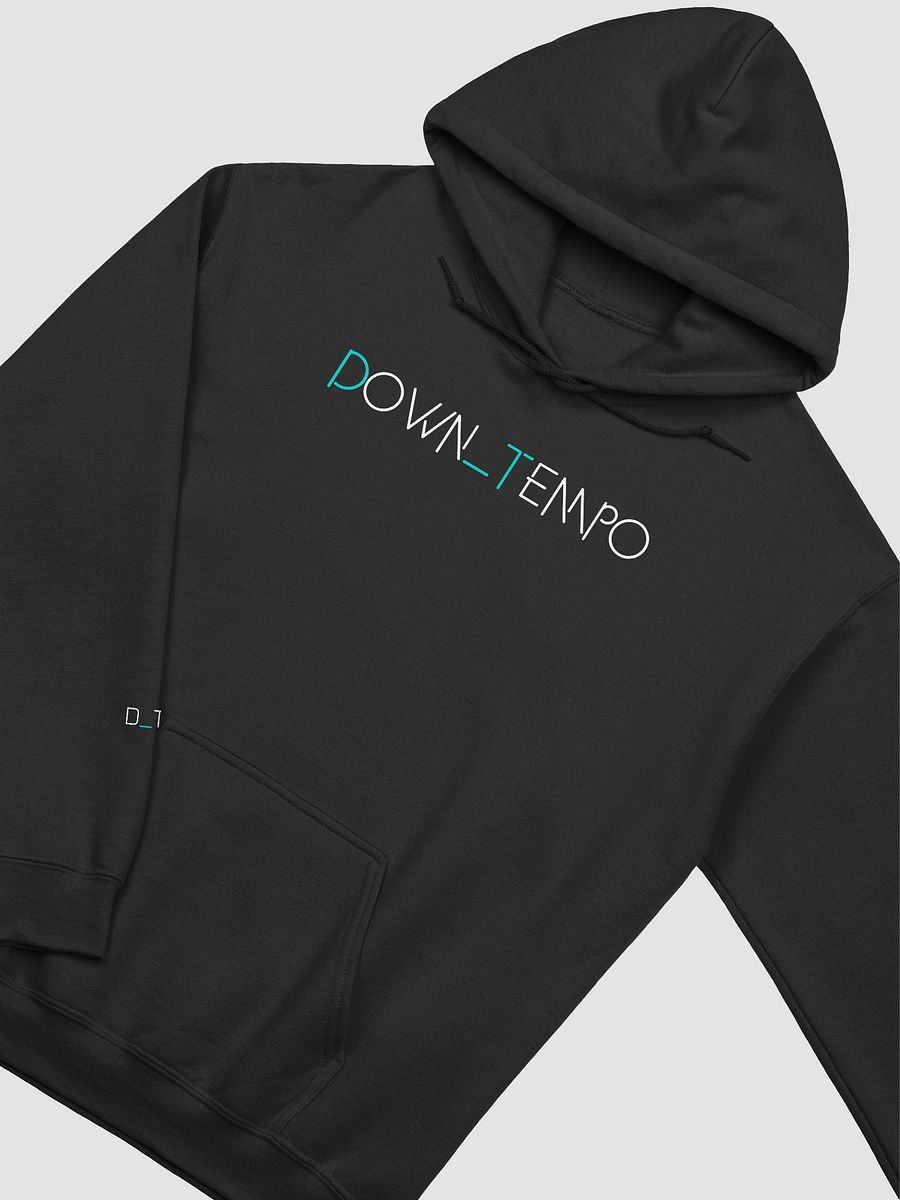 Down_Tempo Collection D_T02 Hoodie product image (4)