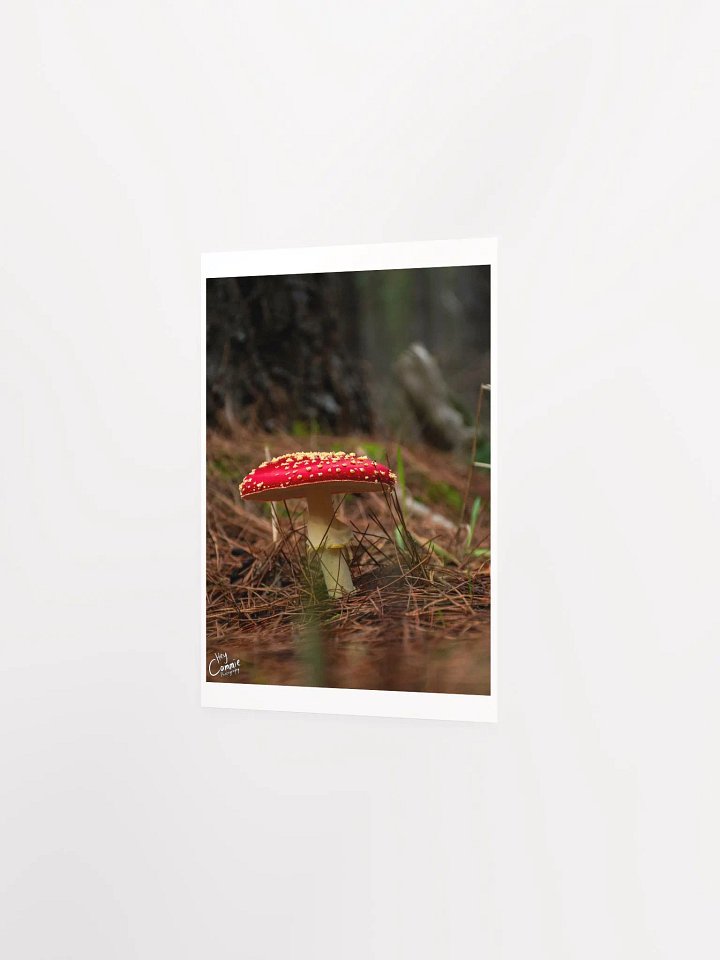 The Fae Wild - Print product image (2)