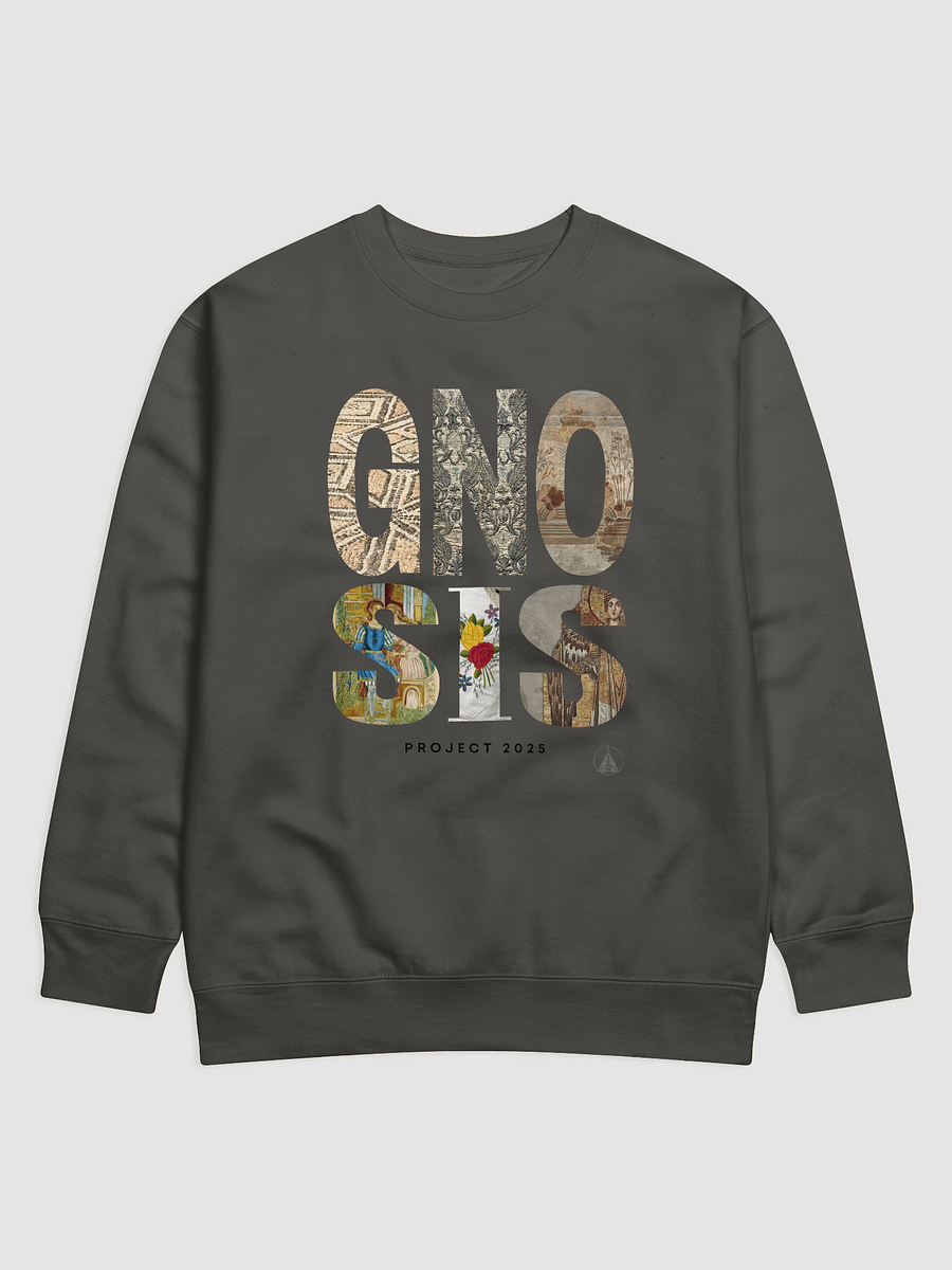 GNOSIS Project Limited Edition Sweatshirt 2025 product image (1)