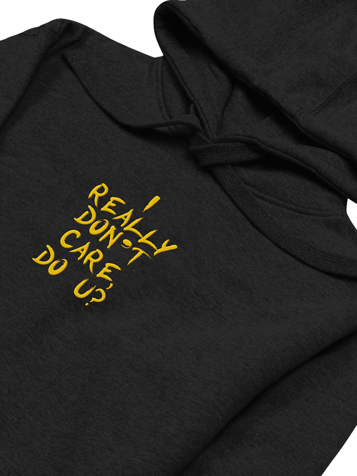 I don't care! Center Embroidered Hoodie product image (2)