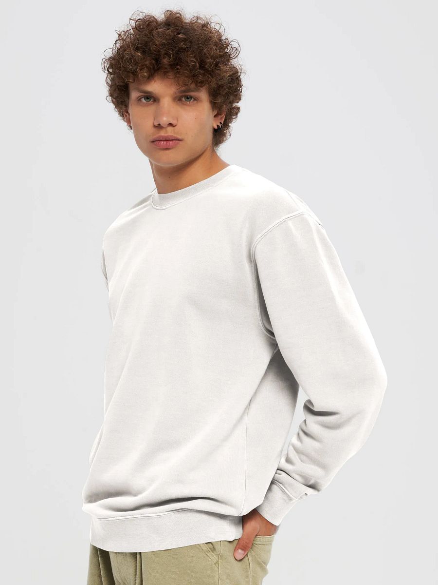 Mirrored Pigment Dyed Sweatshirt product image (2)