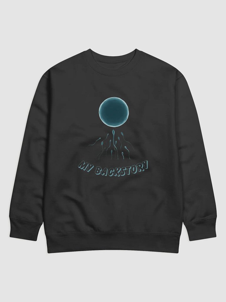 My Backstory Premium Sweatshirt product image (1)