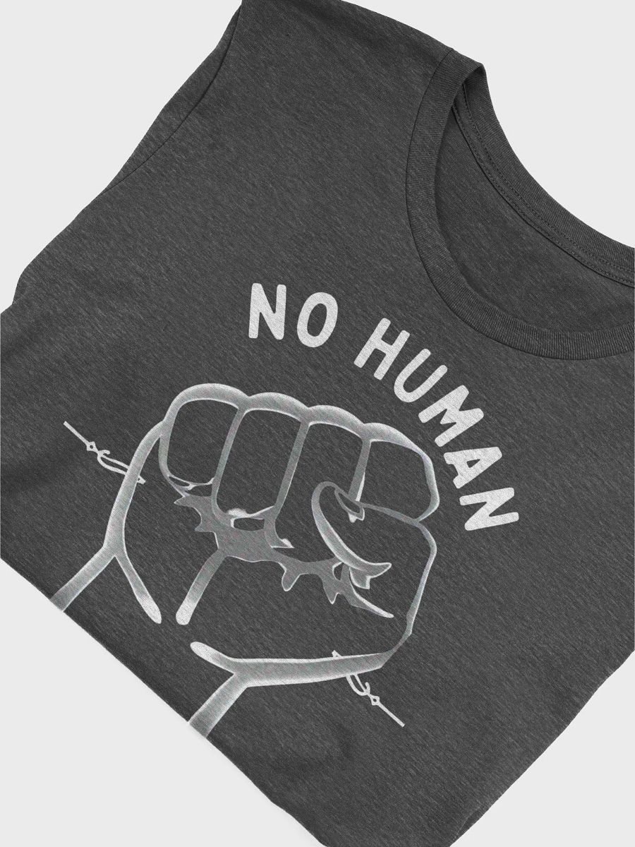 No Human is Illegal Premium Tee product image (4)