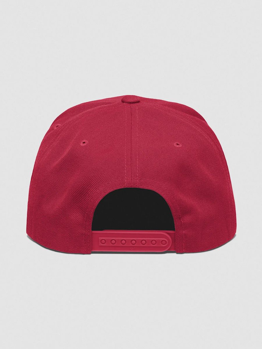 Make Epicurus Great Again Cap (Wool Blend Snapback DARK) product image (5)