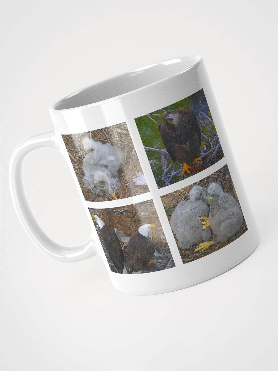 Captiva Eagle Cam 2023-2024 White Mug product image (4)