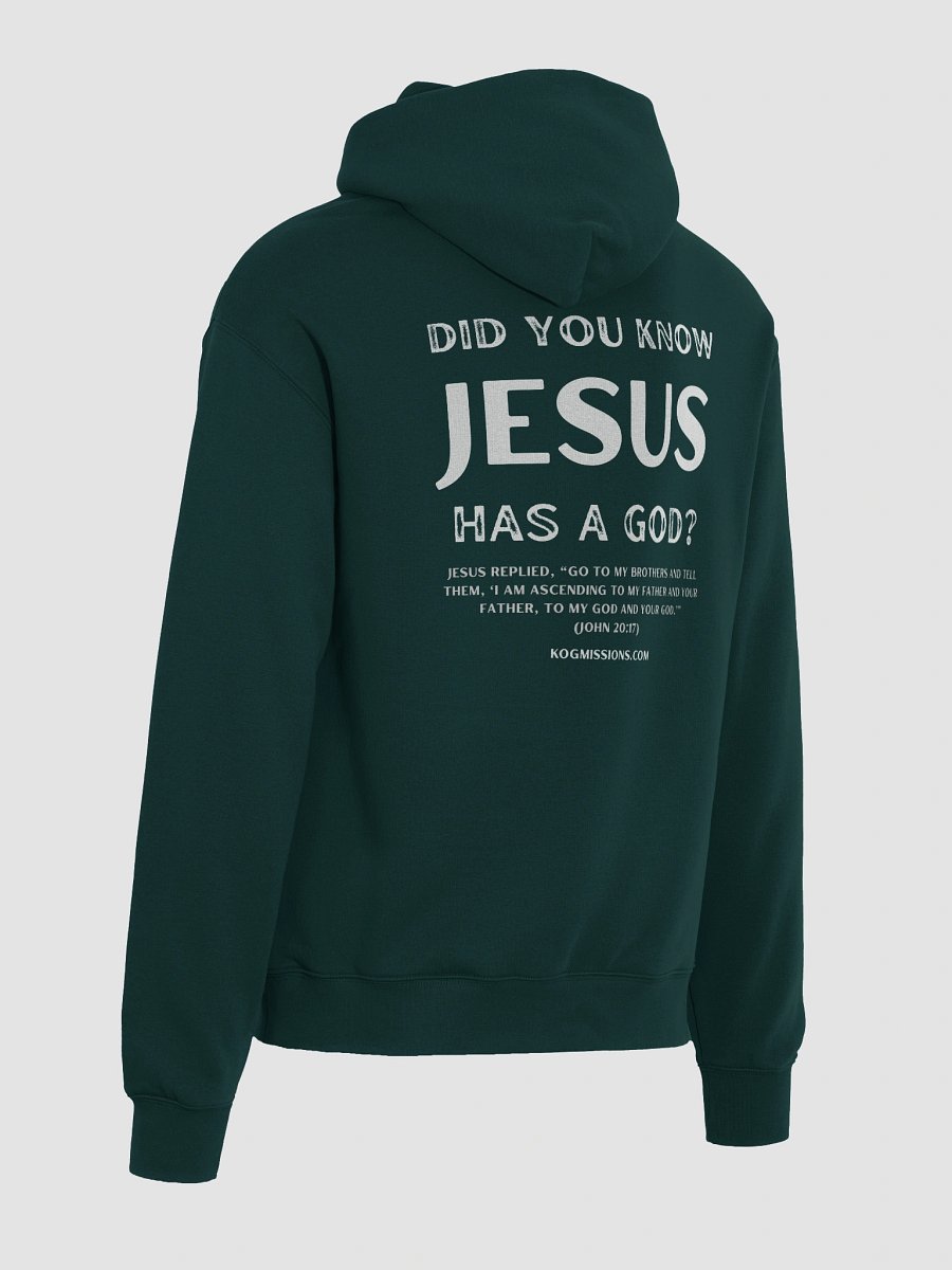 Jesus Has a God Premium Oversized Hoodie product image (16)