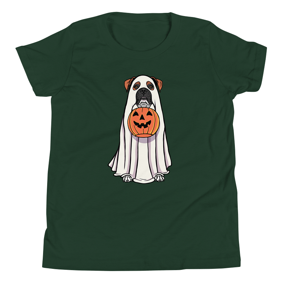 Halloween Boxer(Red, Black Mask) Youth T-Shirt product image (16)