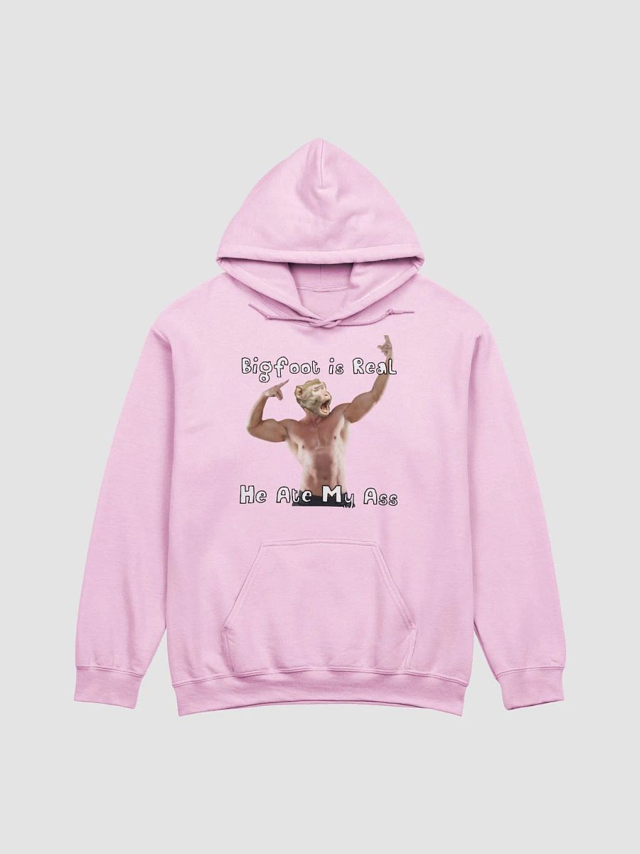 Bigfoot Hoodie product image (1)
