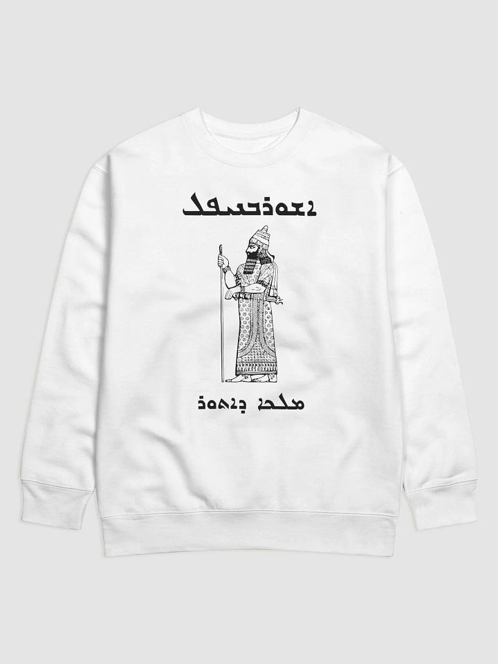 Ashurbanipal - The King of Ashur product image (1)
