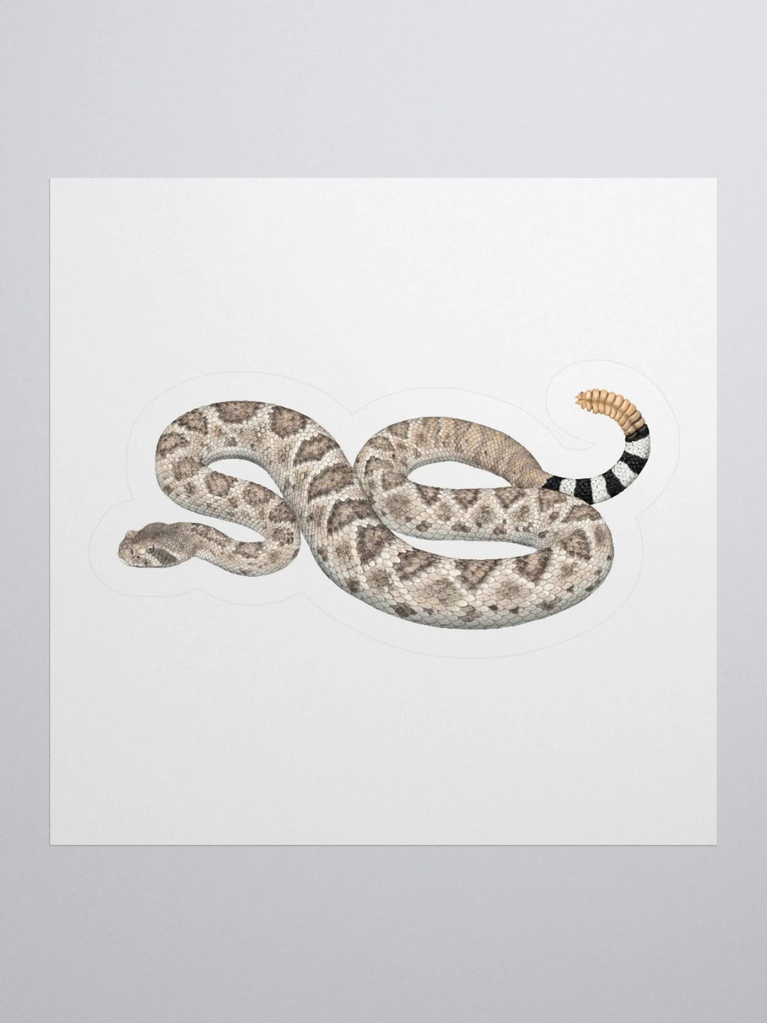Die Cut Sticker – Western Diamondback Rattlesnake product image (1)